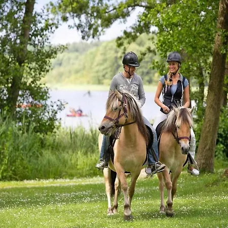 Exklusives Skandinavisches Granzow