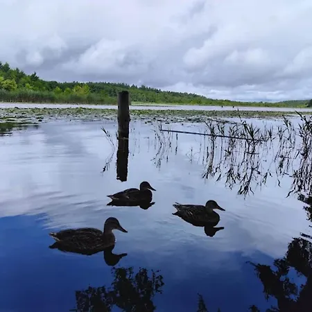 Exklusives Skandinavisches 度假居 *