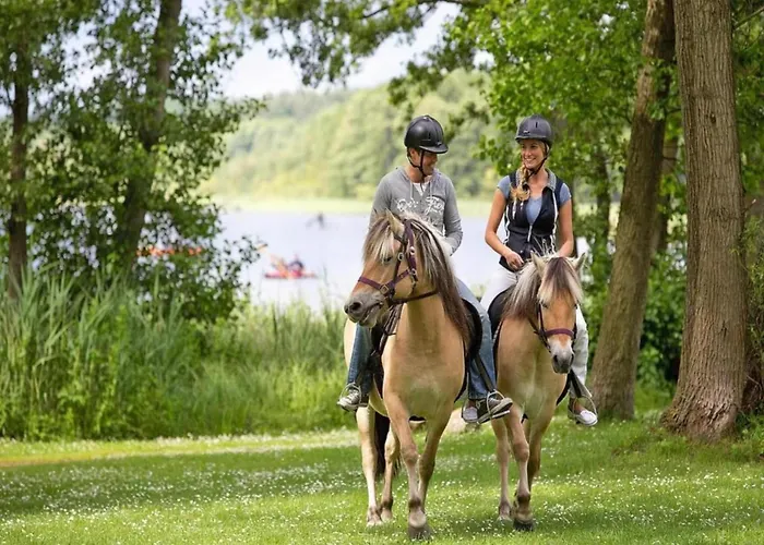 Exklusives Skandinavisches Granzow