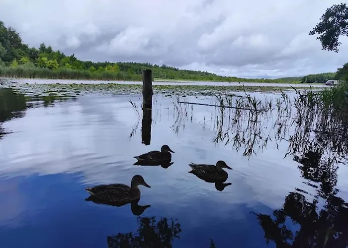 Exklusives Skandinavisches בית נופש *